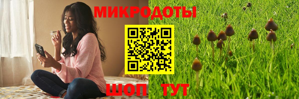 Ухта  Псилоцибиновые грибы MAGIC MUSHROOMS  Вход с VPN  Галлюциногенные грибы мухоморы 